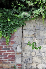 Ancien mur de briques et pierre avec v&eacute;g&eacute;tation verte