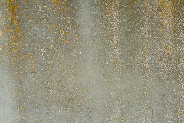 Asbestos slate texture concrete covered with lichen and moss