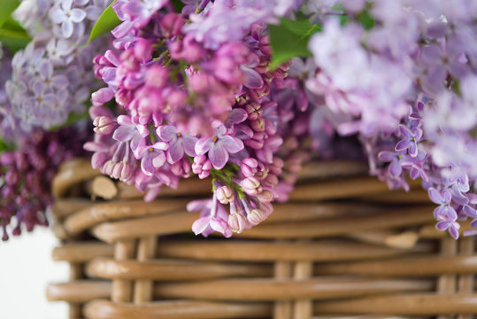 Lilac spring flowers in wooden vintage basket, Landscape