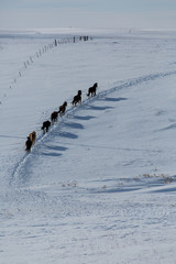 To the Water Tank, Boys