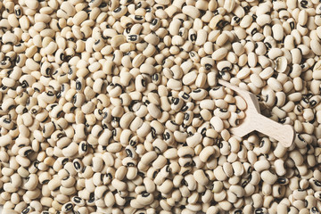 Heap of white beans texture