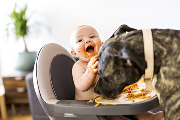 Little baby girl eating her spaghetti dinner and making a mess with pitbull lich