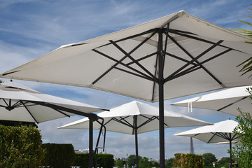 Parasols blancs en été