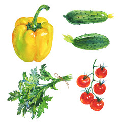 Watercolor set of fresh vegetables and greenery on white background. Hand drawn yellow paprika pepper, parsley, cucumbers, cherry tomatoes