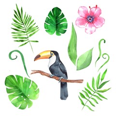 Watercolor set with tropical leaves and toucan