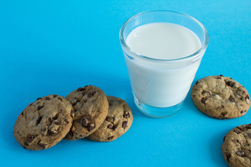 Milk in the glass and chocolate cookies  on the blue  background