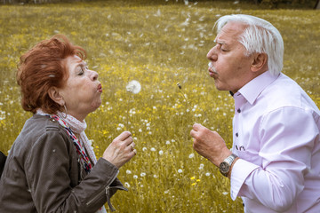 Rentnerpaar pustet Pusteblumen