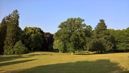 Fototapeta premium Schlosspark Kaarz