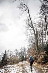 Obraz premium Wandern im Teutoburger Wald 