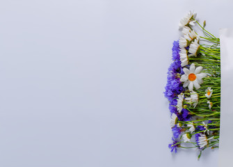 Frame from chamomiles and cornflowers on a light background, top view, postcard or banner