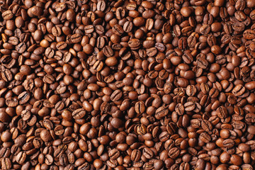 A lot of coffee beans after roasting
