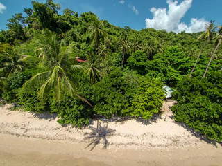 Fototapeta na wymiar Seascape landscape from the sky. Beach on top. Sea, sand, palm trees.