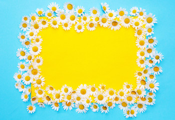 Obraz premium blue and yellow background with white daisies