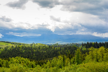 Obraz premium Mountain landscape with a view of Hoverla, Ukrainian Carpathians