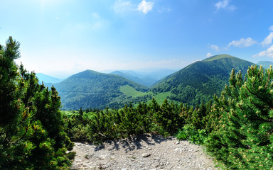 Wide view in The Vratna valley at the Mala Fatra.