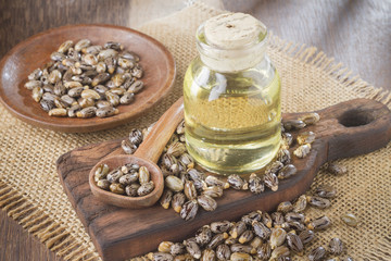seeds and castor oil on the wooden table - Ricinus communis