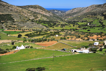 Obraz premium Rural landscape of Naxos island