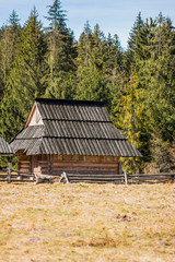 
Village nature, spring with summer, contrasting background of mountains, trees. concept house in the village
