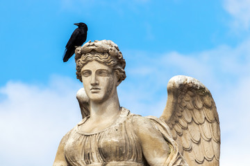Vogel auf dem Kopf einer Statue