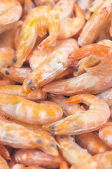 Frozen shrimps in ice. A lot of royal shrimp close-up.