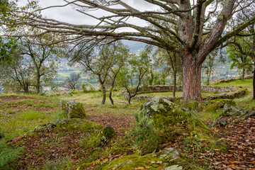 Citania de Briteiros