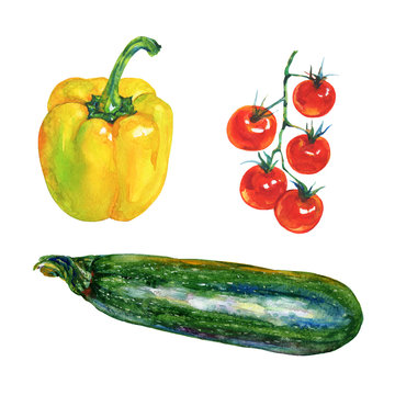 Watercolor set of fresh vegetables on white background. Hand drawn yellow paprika pepper, zucchini, cherry tomatoes