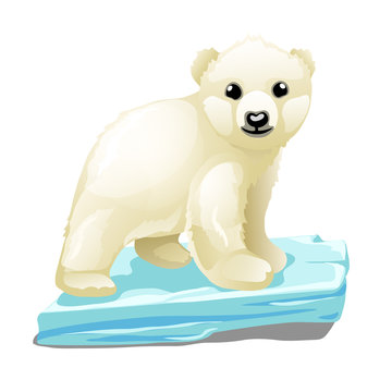 Cute polar bear floats on a drifting ice floe isolated on white background. Vector illustration.