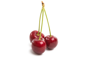 cherries isolated