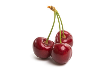 cherries isolated