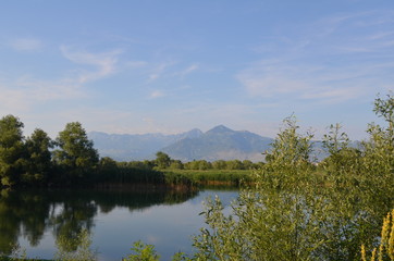 Quiet water of a lake allows beautiful mirror reflections on sunny day. Lake Skadar, Albania, Montenegro