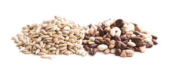 Chocolate covered sunflower seeds