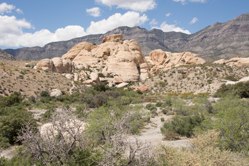 Red Rock Conservation Area Las Vegas Nevada