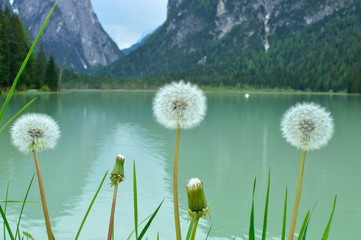 lake Braies © gabryellina
