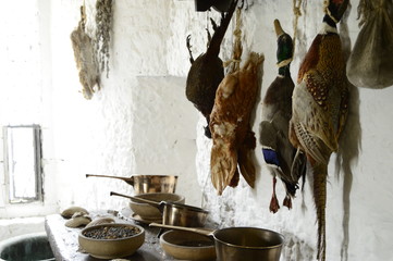 Castle kitchen from old times - dead birds, herbs hung on whitewashed walls © agatchen
