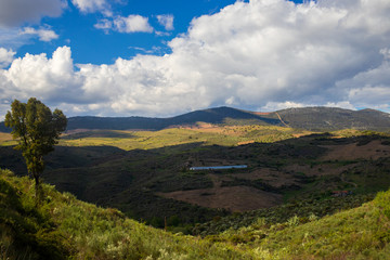 Fototapeta na wymiar mountains in center of Portugal