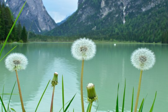 lake Braies