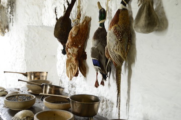 Castle kitchen from old times - dead birds, herbs hung on whitewashed walls © agatchen