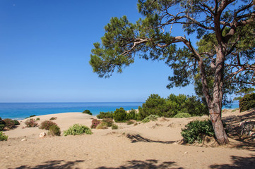 View of Patara sand beach. Antalya Province. Turkey