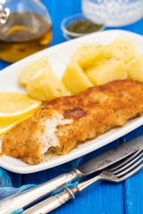 fried fillet of fish with boiled potato on white dish