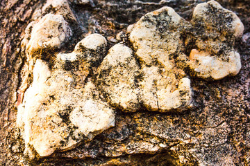 Close up of natural stone wall. Stone wall texture 