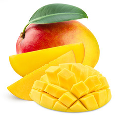 Mango leaf isolated