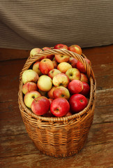 Bright tasty ripe apples in a basket