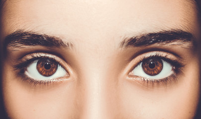 Fototapeta premium A beautiful insightful look eye. Close up shot.