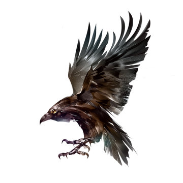 color isolated sketch bird crow in flight