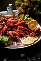 A lobster on a big Golden platter. Scatter the lemon and the Bay leaf.Restaurant food.