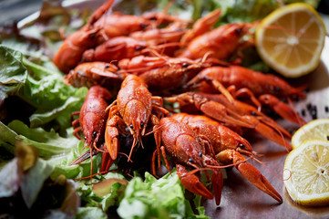 A lobster on a big Golden platter. Scatter the lemon and the Bay leaf. Restaurant food. A lobster on a silver metal plate with lemon.Restaurant food.