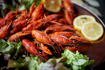 A lobster on a big Golden platter. Scatter the lemon and the Bay leaf. Restaurant food. A lobster...