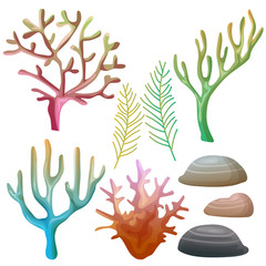 coral reef vector