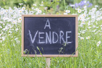 Sign board with text in french "for sale" on daisies meadow