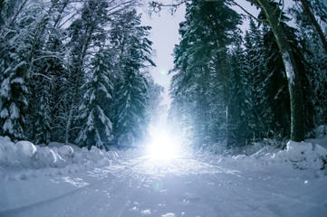 Rays of light from car headlights traveling along a winter road in the forest